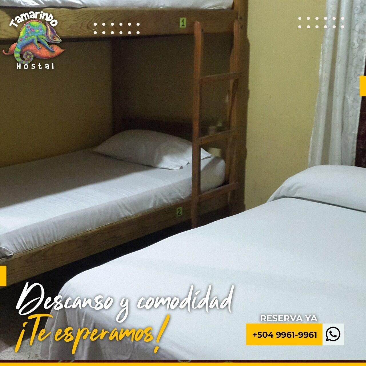 Tamarindo Hostel San Pedro Sula Exterior foto